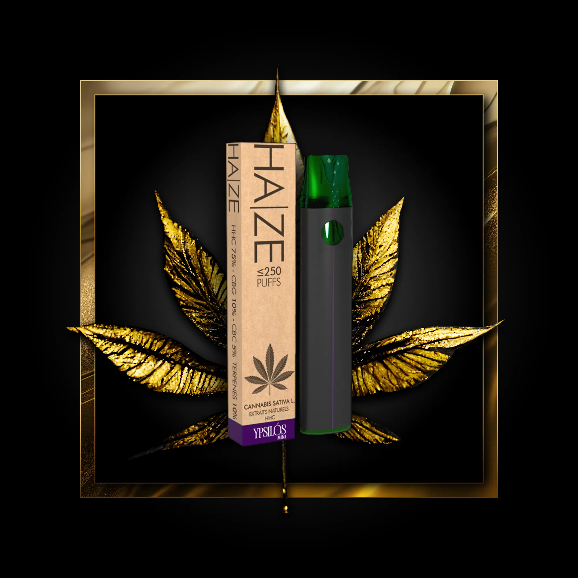 Haze (Wegwerf) 250 Puffs - 0,50 ml. HHC