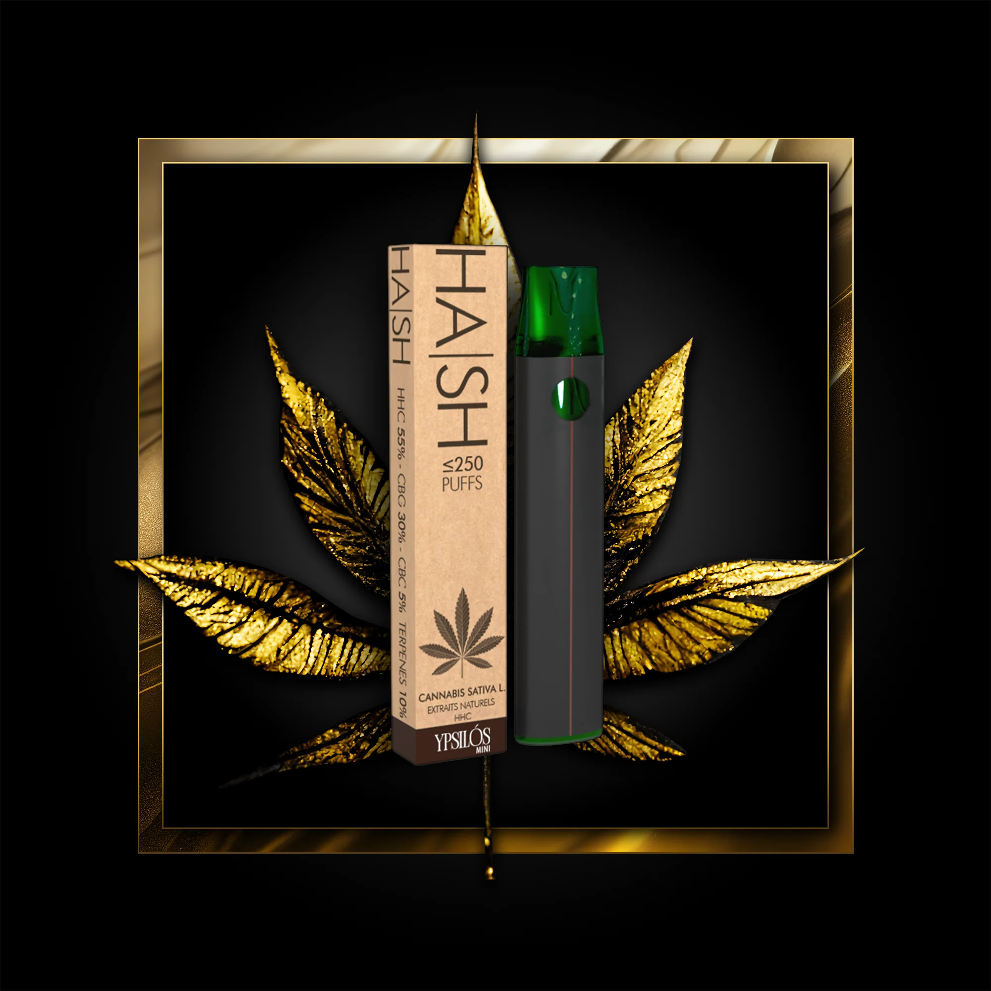 Hash (Eenzelverbrauch) 250 Puffs - 0,50 ml. HHC