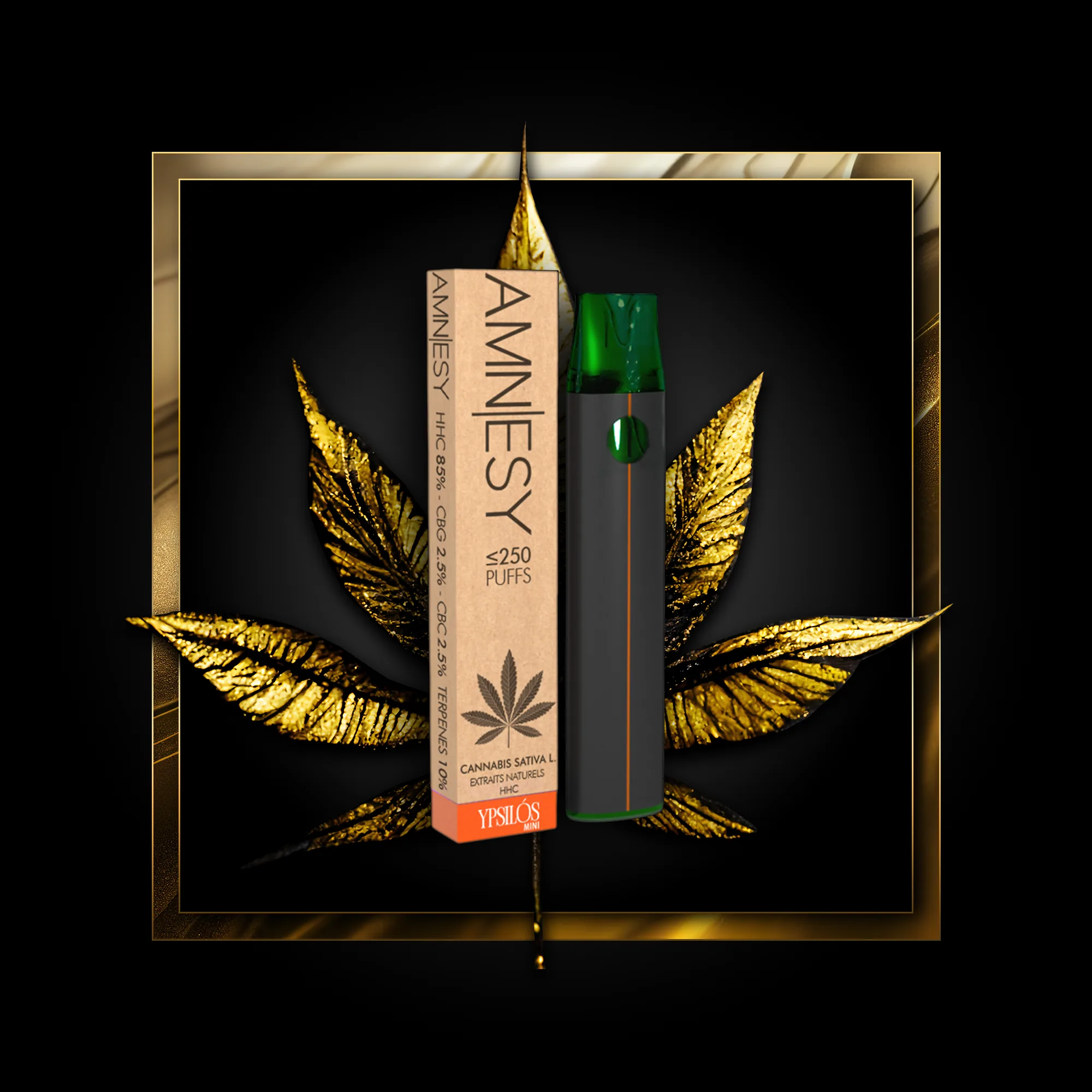 Amnesy (Eenzelverbrauch) 250 Puffs - 0,50 ml. HHC